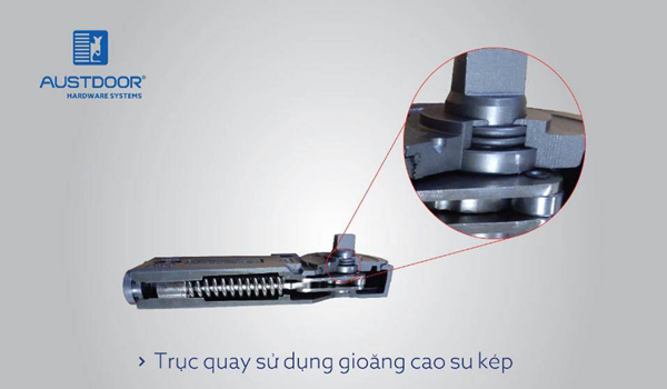 ban-le-san-cua-kinh-cuong-luc